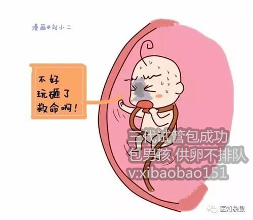 【昆明私立供卵试管机构】 南京代生2022,女人一生能做几次试管婴儿