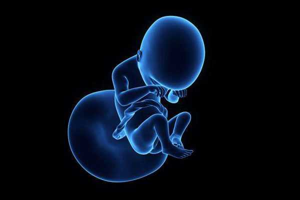 胎儿如何在子宫内排泄 看后别影响食欲