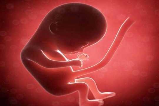 胎儿如何在子宫内排泄 看后别影响食欲